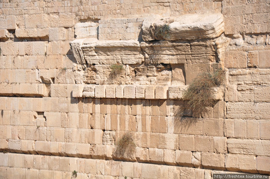 Стена Плача является частью древних конструкций на Храмовой горе. К ней обычно идут от Мусорных ворот в восточной стене Старого города, мимо комплекса мусульманских святынь, что строили здесь с 7 века на фундаментах времен правления Давида, Соломона и Ирода Великого. Иерусалим, Израиль