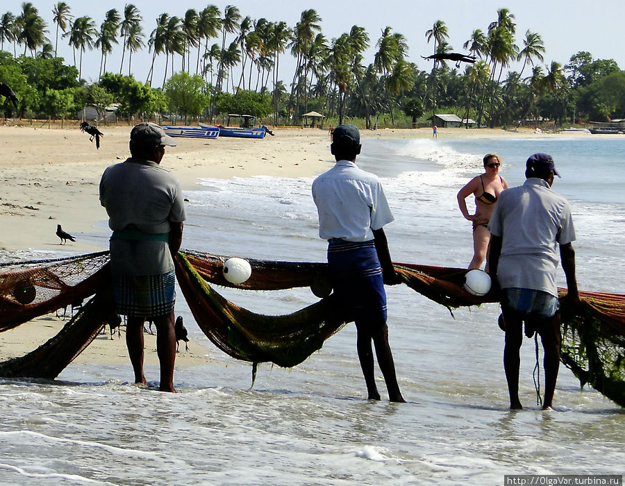 Нелегко приходится рыбакам, когда такой соблазн перед глазами... Тринкомали, Шри-Ланка
