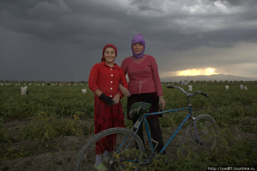 Ведровер – 26. В поисках границы. Узбекистан