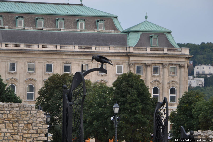 Ворота Королевского дворца Будапешт, Венгрия
