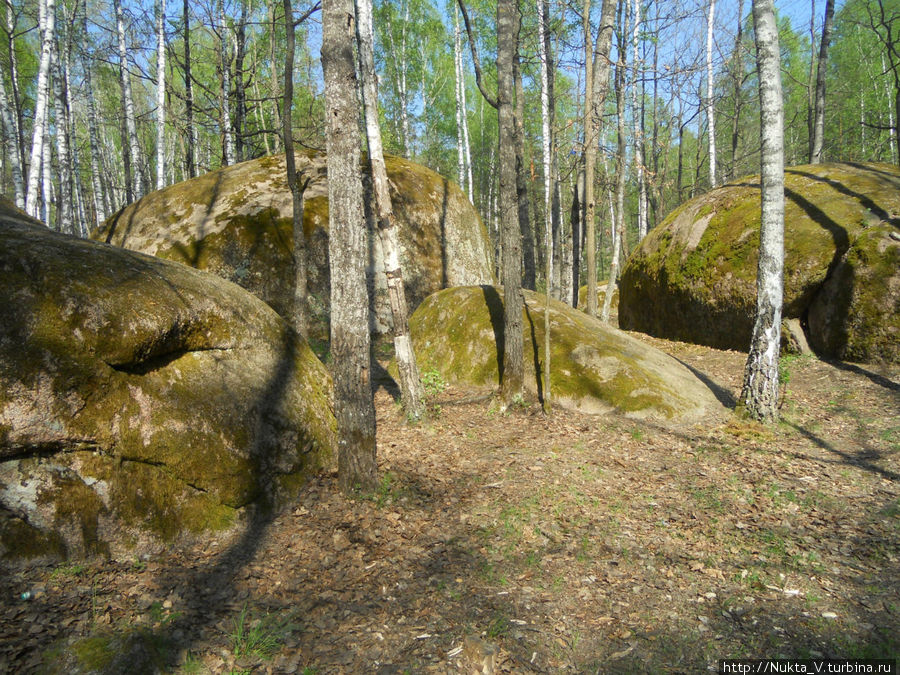 Каменное село геологический парк / Kamennoe selo geological park