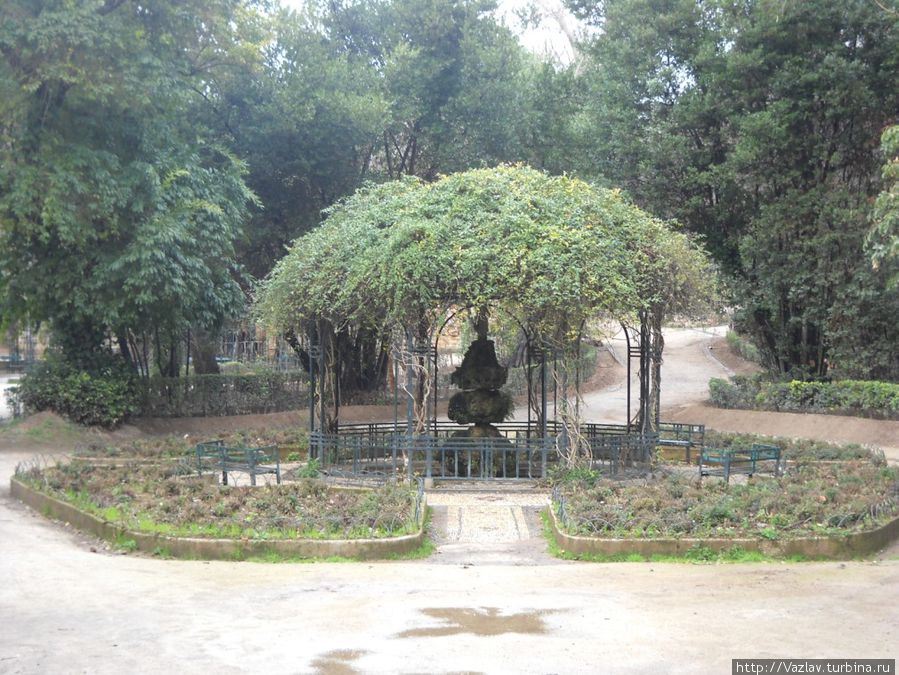 Живая беседка Живая беседка