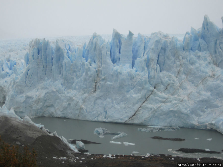 Ледник Перрито Морено в пасмурную погоду Лос-Гласьярес Национальный парк, Аргентина
