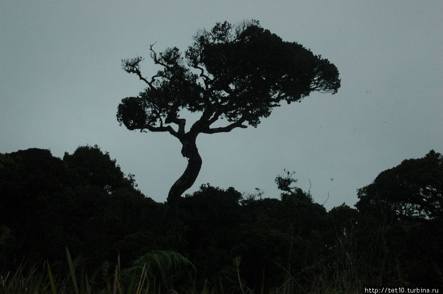 Просто красиво... Просто красиво...