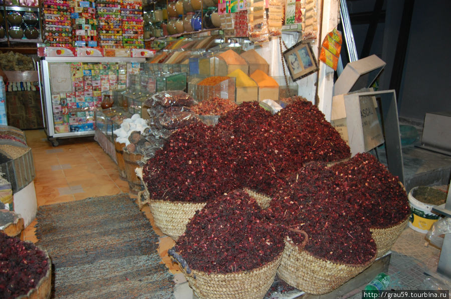 Лавочка фруктов Хургада, Египет