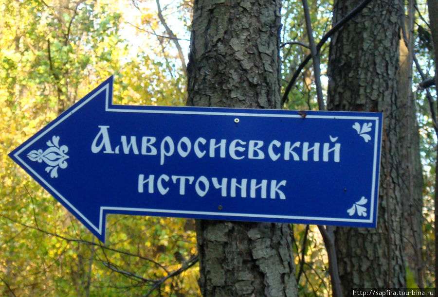 Золотая осень в Шамордино Козельск, Россия