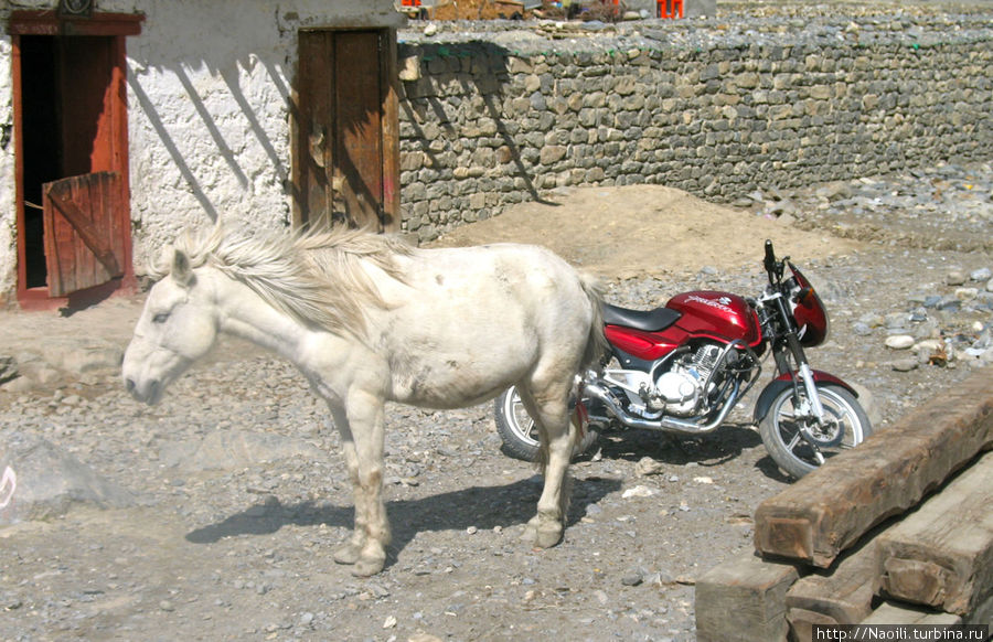 И снова ослик; но рядом с более современным транспортом Джомсом, Непал