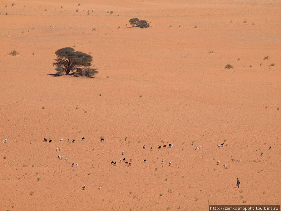 Окрестности Уадана Мавритания
