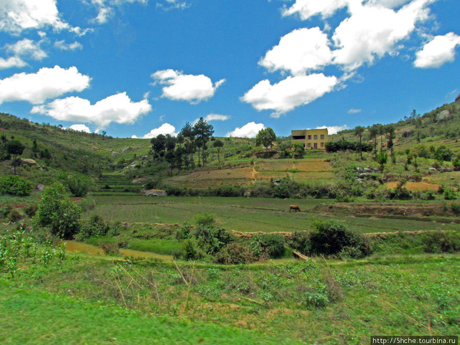 Мадагаскарские картинки. Провинция Антананариву. Восток Провинция Антананариву, Мадагаскар