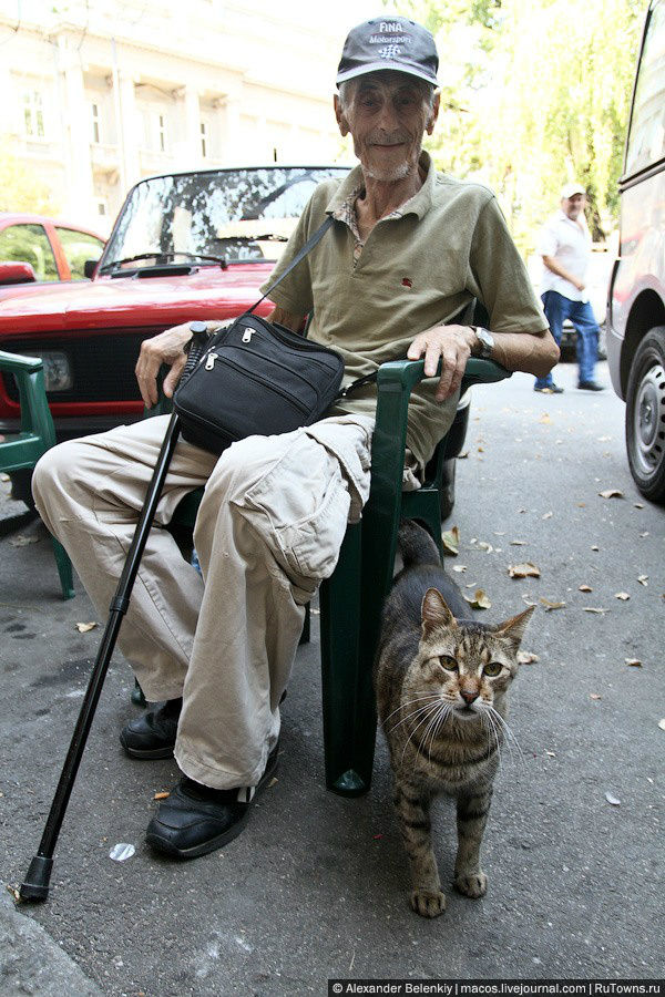 Коты и деды — очарование Белграда, да и вообще всей Сербии. Белград, Сербия