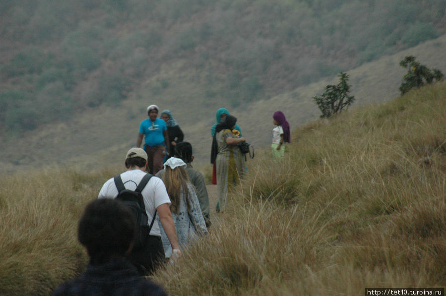 Движняк на туристических тропах... Движняк на туристических тропах...