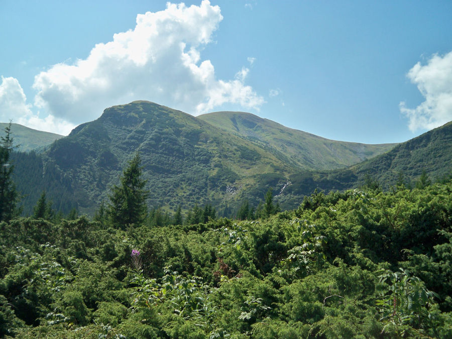 Ой, как красиво!!! Ой, как красиво!!!