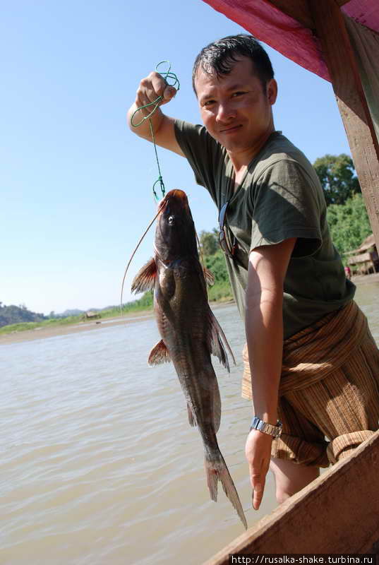 Рыба в Бенгальском заливе Ситуэ, Мьянма