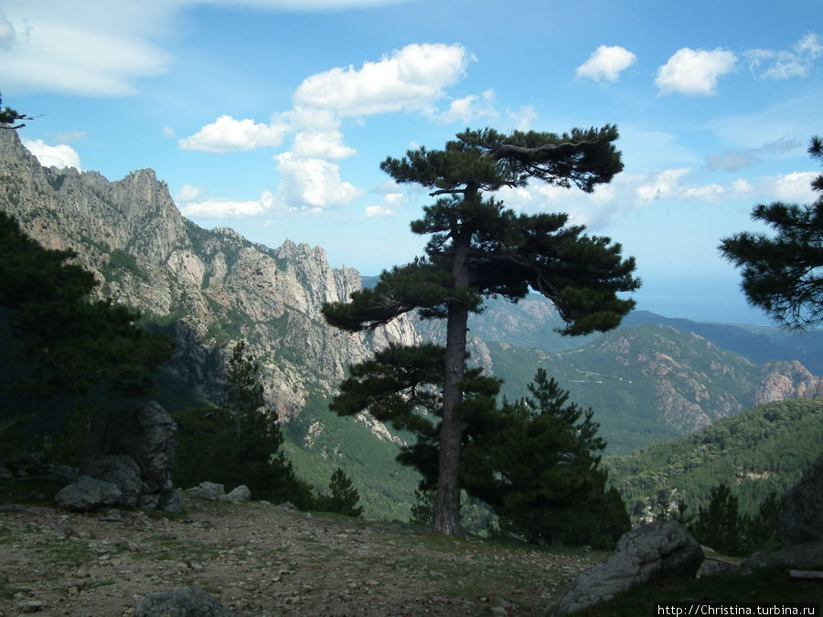 Горы и мечты обитают рядом Корсика, Франция
