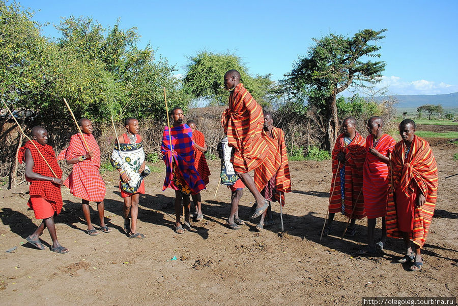Акуна матата, или даешь сафари! 12.2010 Часть четвертая. Масаи-Мара Национальный Парк, Кения