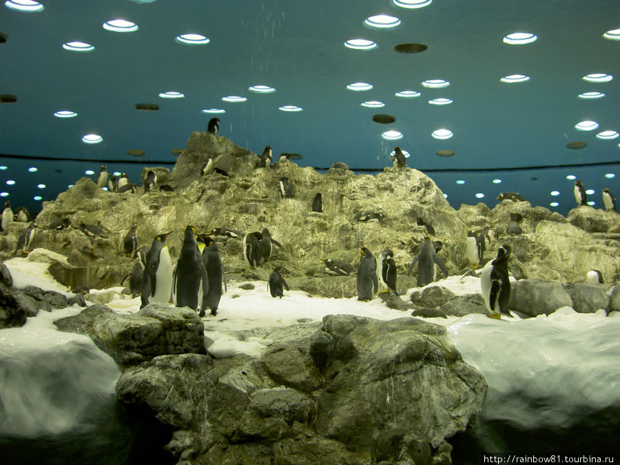 Тенерифе туристический Тенерифе туристический