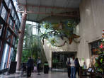 Приглашает центр бабочек в Музее природы