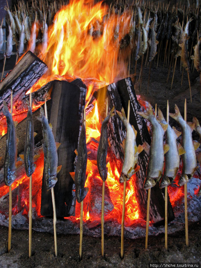 Традиционно рыбу готовят, обжаривая со всех сторон на открытом огне. Выкладывают круглые печи, в середине разводят огонь, а по периметру крепят деревянные палочки-шампуры, на которые продеты айю целиком. Япония