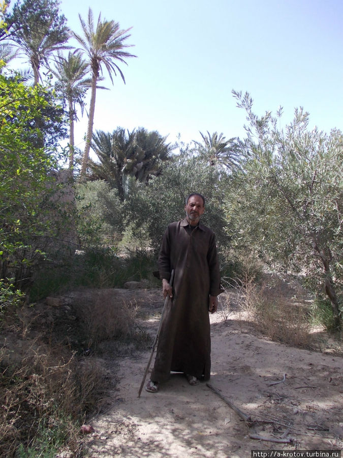 единственный крестьянин, появившийся после наших прогулок по огородам Тадмур (Пальмира), Сирия