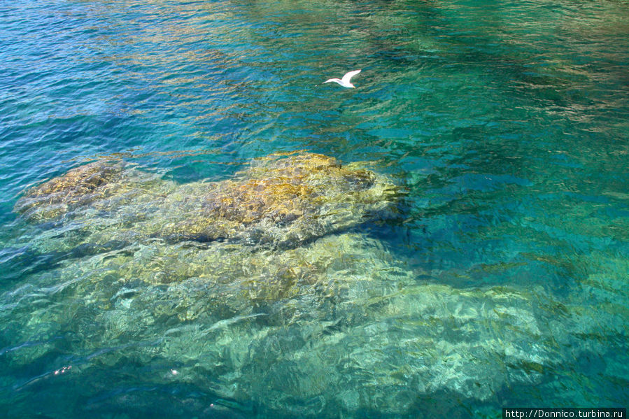 Сине-зеленое море в золотых нитях света... Л-Эстартит, Испания