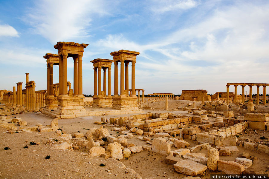 Пальмира Тадмур (Пальмира), Сирия