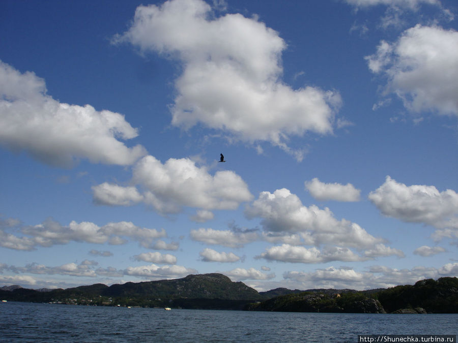 Ветер несет облака и гонит мелкую рябь по воде — картинка становится привычной и обычной. Берген, Норвегия