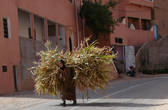 Тяжкий труд сельской жительницы Марокко