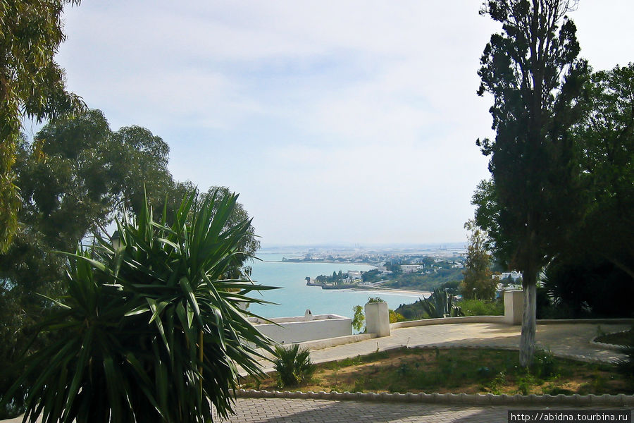 С террас городка открывается великолепный панорамный вид на залив Туниса, столицу и ее окрестности Сиди-Бу-Саид, Тунис