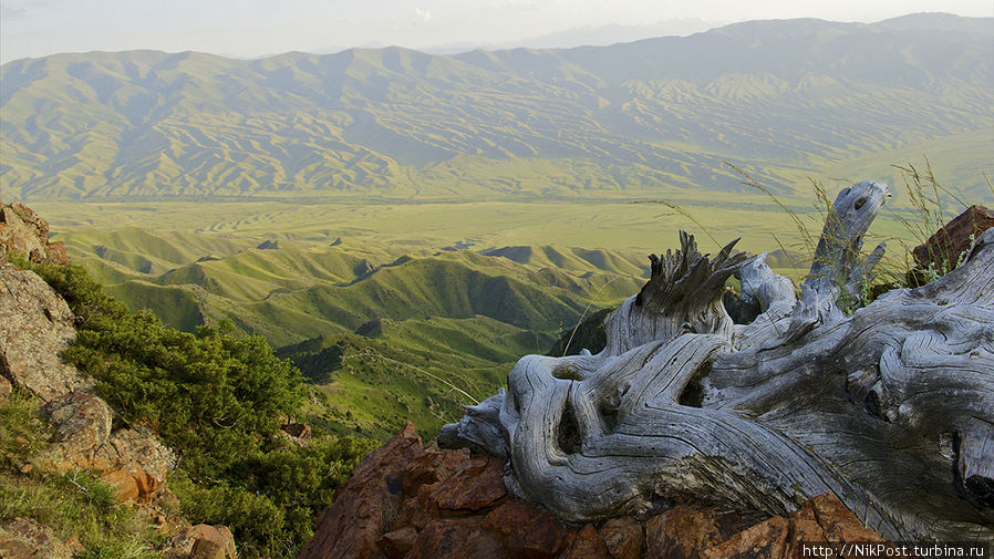 Долина реки Каракыстак. Луговской район. Киргизский хребет Тараз, Казахстан