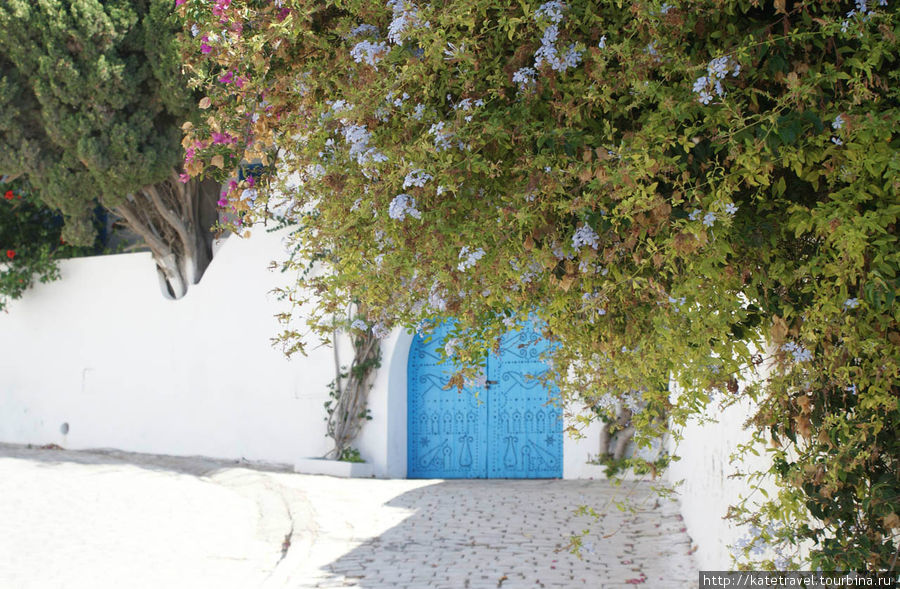 Бело-голубой городок, или Из Андалусии с любовью Сиди-Бу-Саид, Тунис
