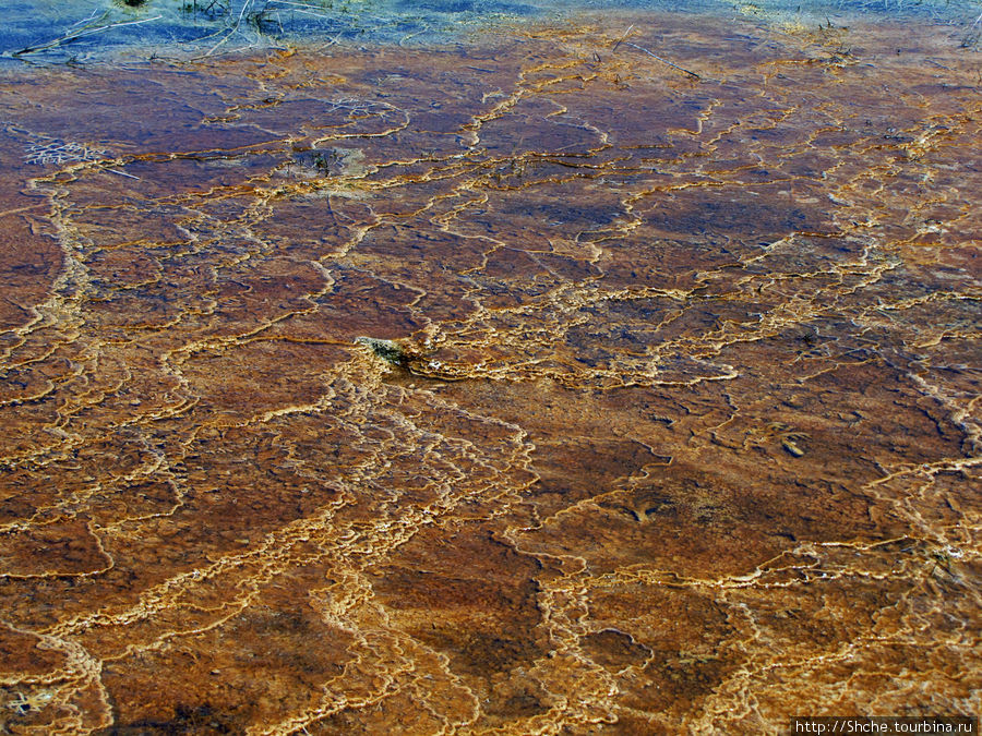 Пространственно-цветовые вариации Мамонтовых источников Йеллоустоун Национальный Парк, CША