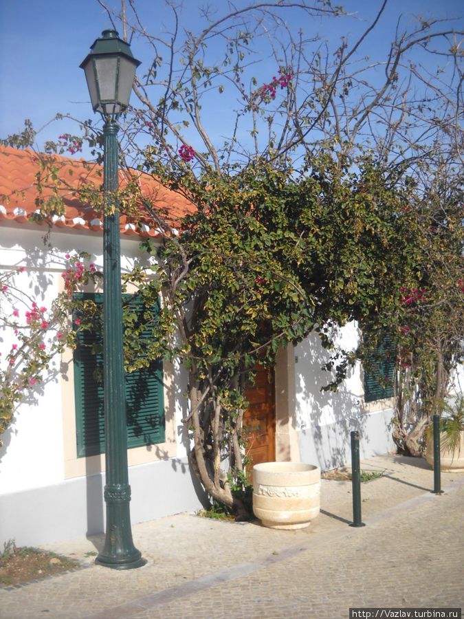 Среди зелени Среди зелени