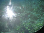 За иллюминаторами спрятаны компьюторные мониторы, по которым пассажирам показывают 30мин фильм, смонтированный из реальных подводных съемок Байкала.