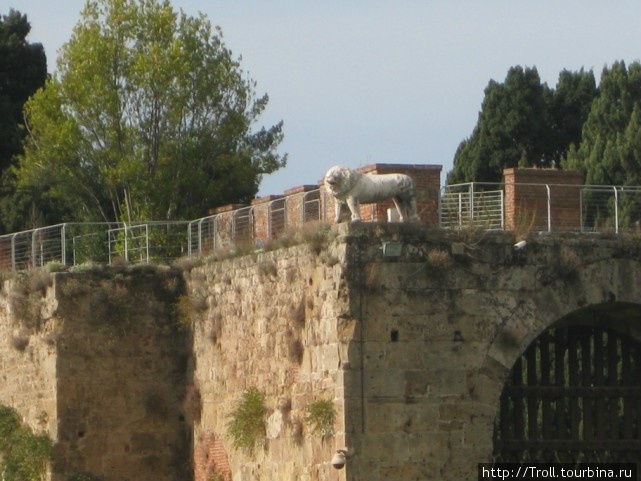 На все это с весьма удивленным видом взирает с угла городской стены каменный лев Пиза, Италия
