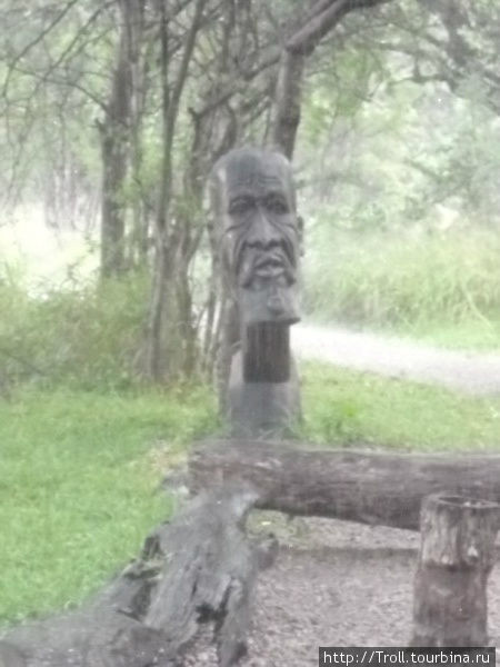 Этакий выразительный идол рядом с водопадом Виктория-Фоллс, Зимбабве