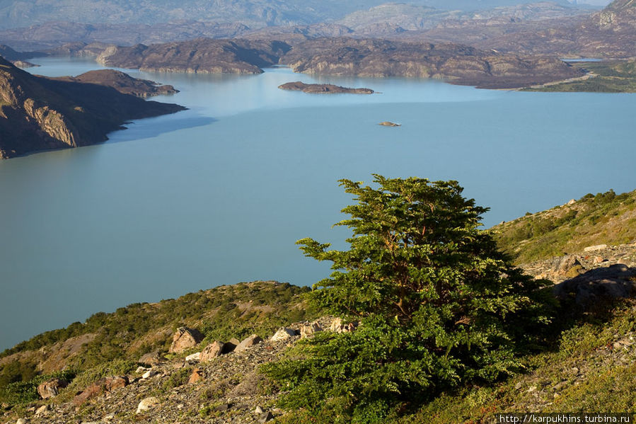 Вид с боковой тропы на западную часть озера Норденскёльд. Не часто озеро бывает таким спокойным. Национальный парк Торрес-дель-Пайне, Чили