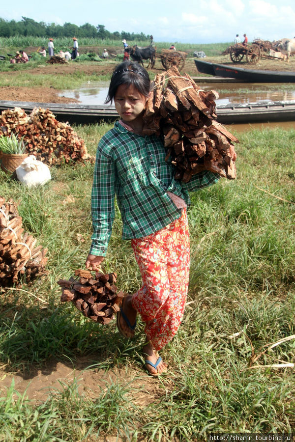 Торговка дровами Ньяунг-Шве, Мьянма