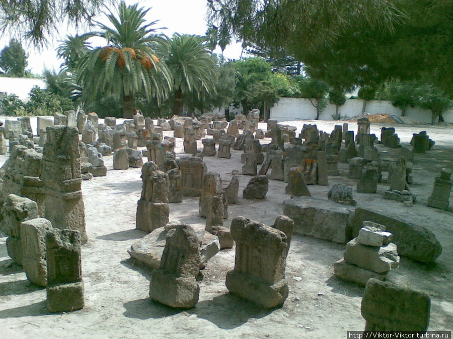 Тофет и жертвоприношения детей Карфагена Тунис, Тунис