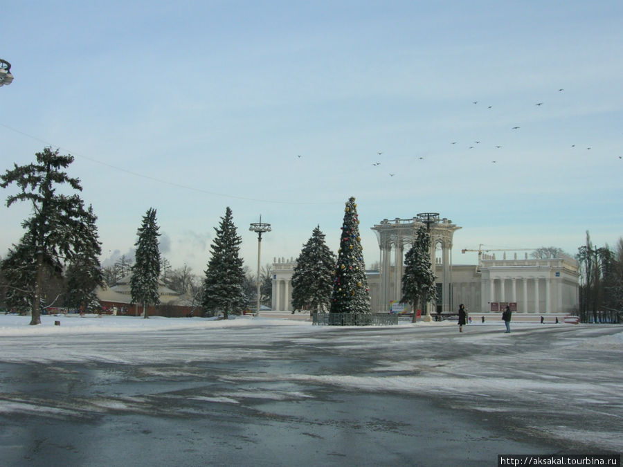 Зимой на ВВЦ. 2012г. Москва, Россия