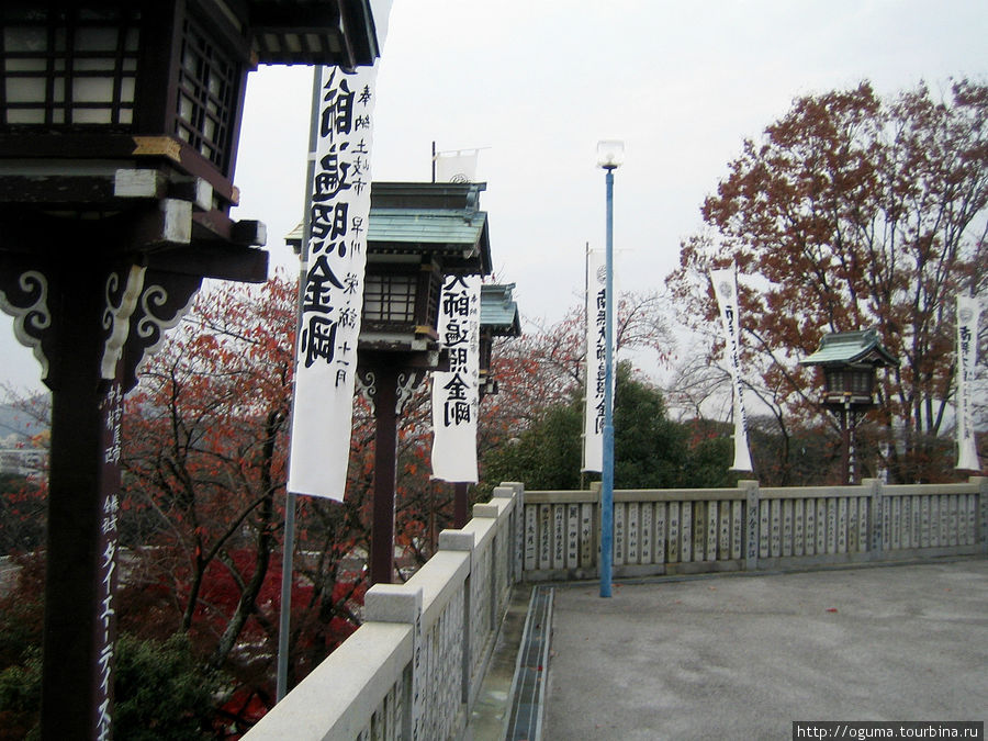 Храм Наритасан в городе Инуяма. Сакура цветущая в ноябре! Инуяма, Япония