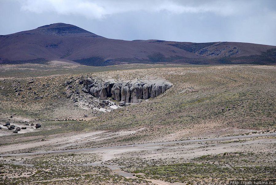 Каменный лес. Стадо слонов (вид сзади) Каменный лес. Стадо слонов (вид сзади)
