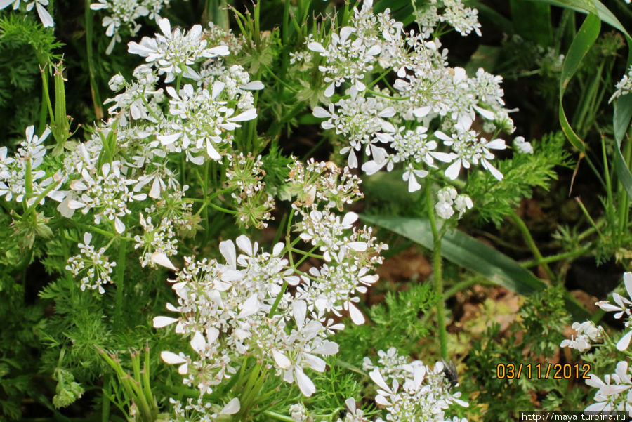 Галилея весенняя Галилейское море озеро, Израиль Галилея весенняя Галилейское море озеро, Израиль