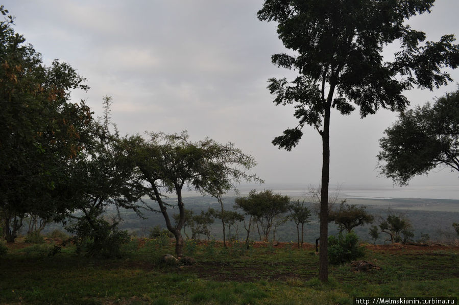 Вид из окна Национальный парк Озеро Маньяра, Танзания