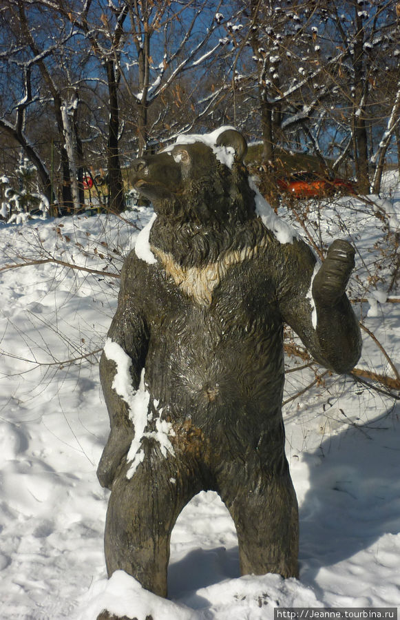 Это, видимо, папа-медведь: Хабаровск, Россия