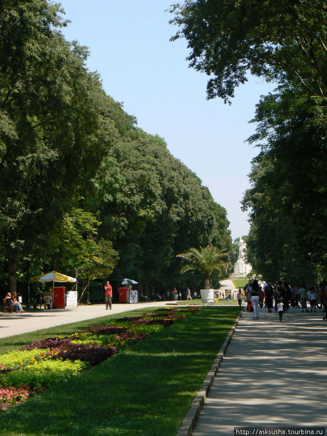 Приморский сад — это самый крупный парк в Варне, со сказочным аквариумом, дельфинарием, планетарием, зоопарком и музеем естественной истории. Сад был объявлен памятником ландшафтной архитектуры. Варна, Болгария
