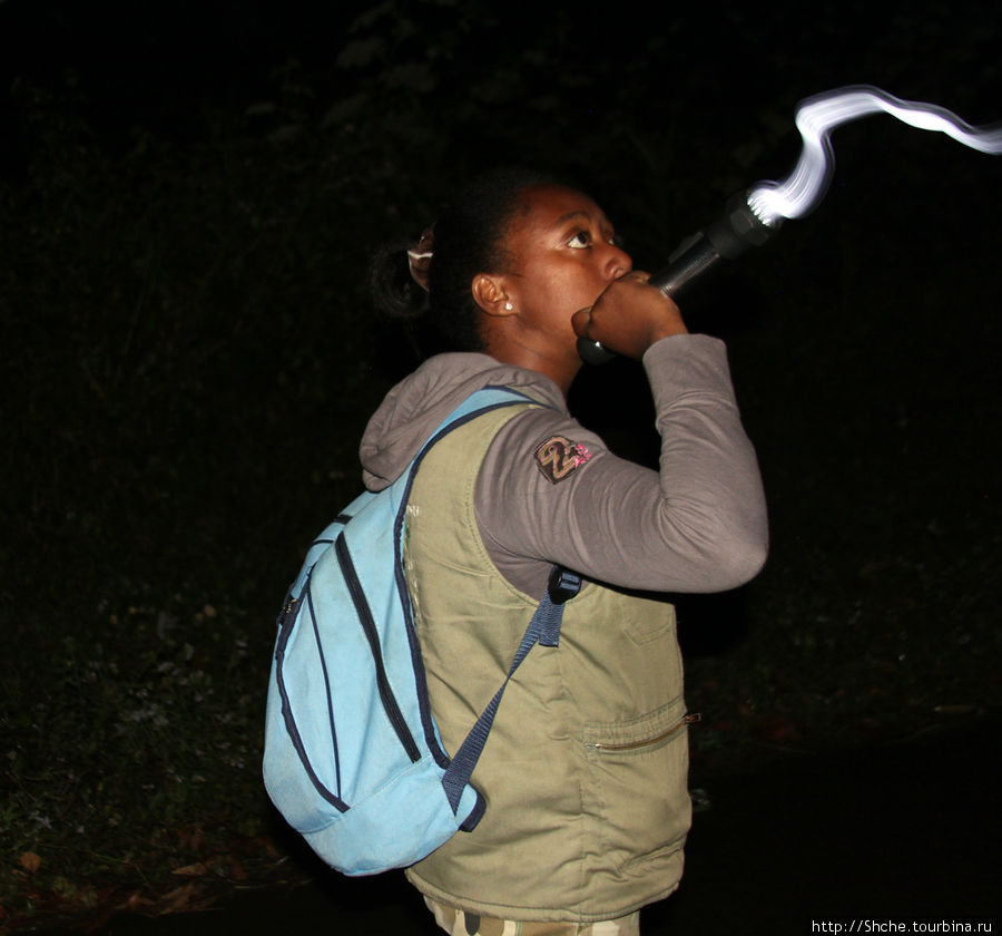 красиво выглядит луч света в руках Клавы Андасибе-Мантадиа Национальный Парк, Мадагаскар