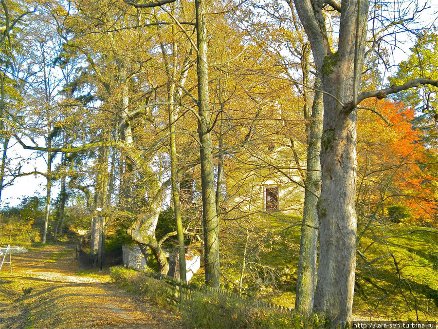 Червена Лгота Червена Лгота