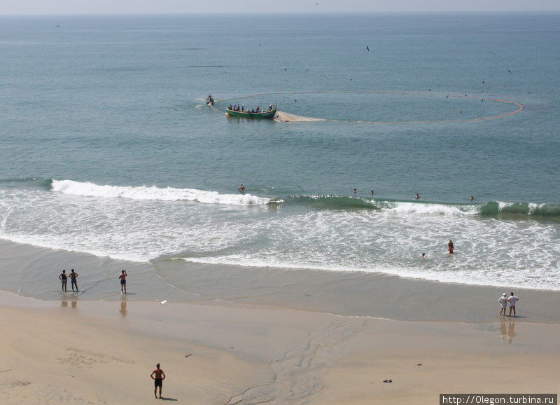 За работой рыбаков можно наблюдать прямо с пляжа Варкала, Индия