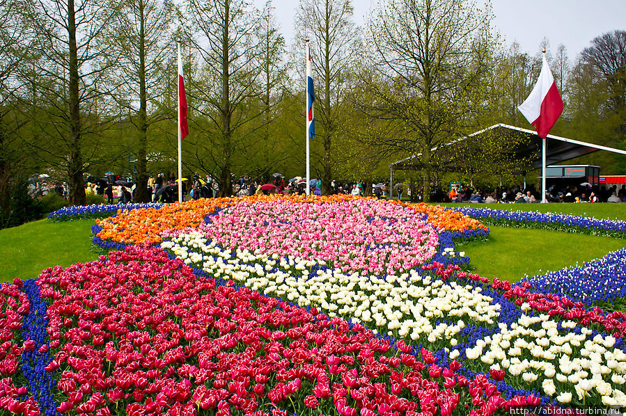 Кекенхоф, или Парк тюльпанов. Часть 1 Кёкенхоф, Нидерланды