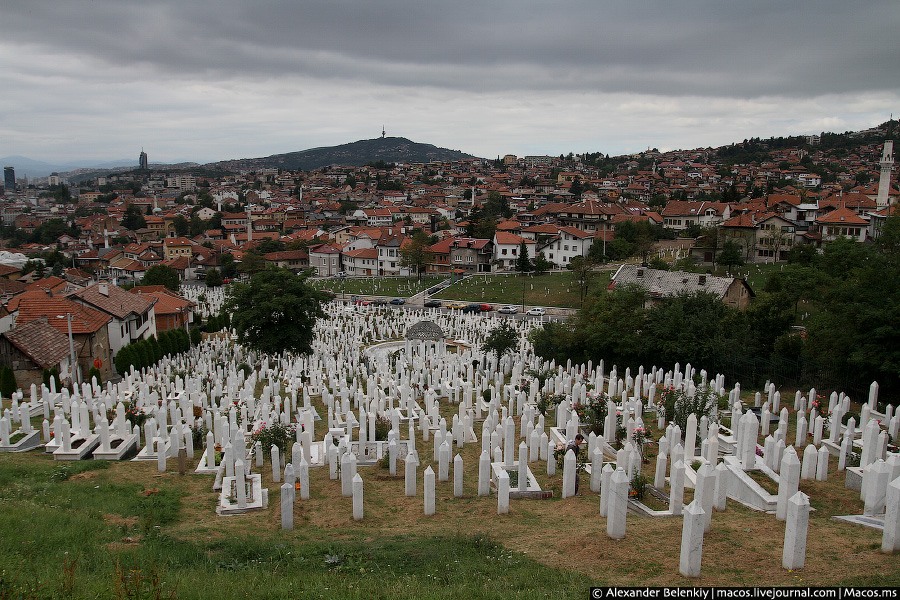 На холме в центре есть огромное кладбище мусульман, погибших во время войн 1992-1995 годов. Сараево, Босния и Герцеговина